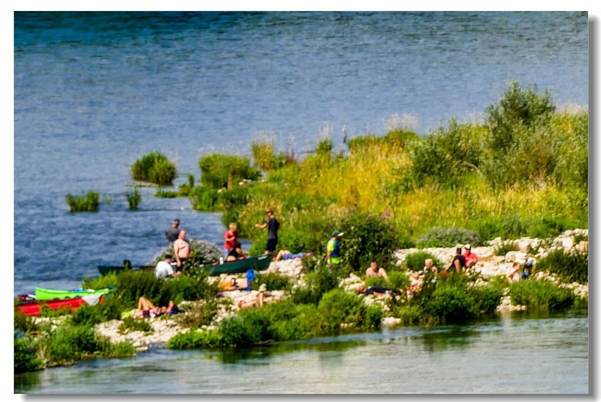“莱茵河”写真