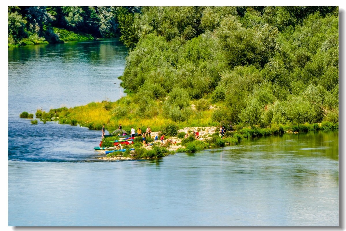 “莱茵河”写真
