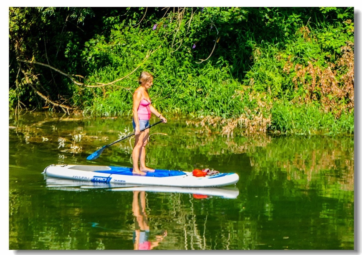 “莱茵河”写真