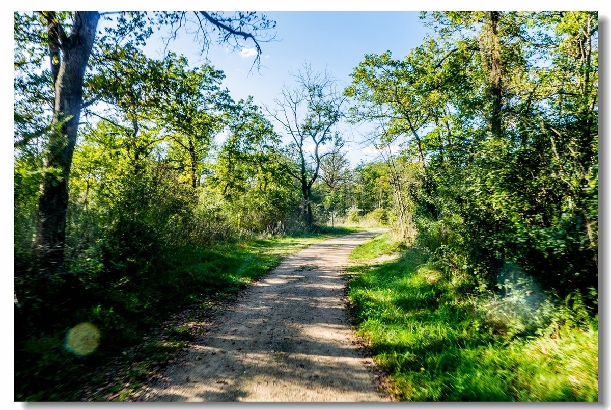 骑行间纪实（南德莱茵河岸画廊）
