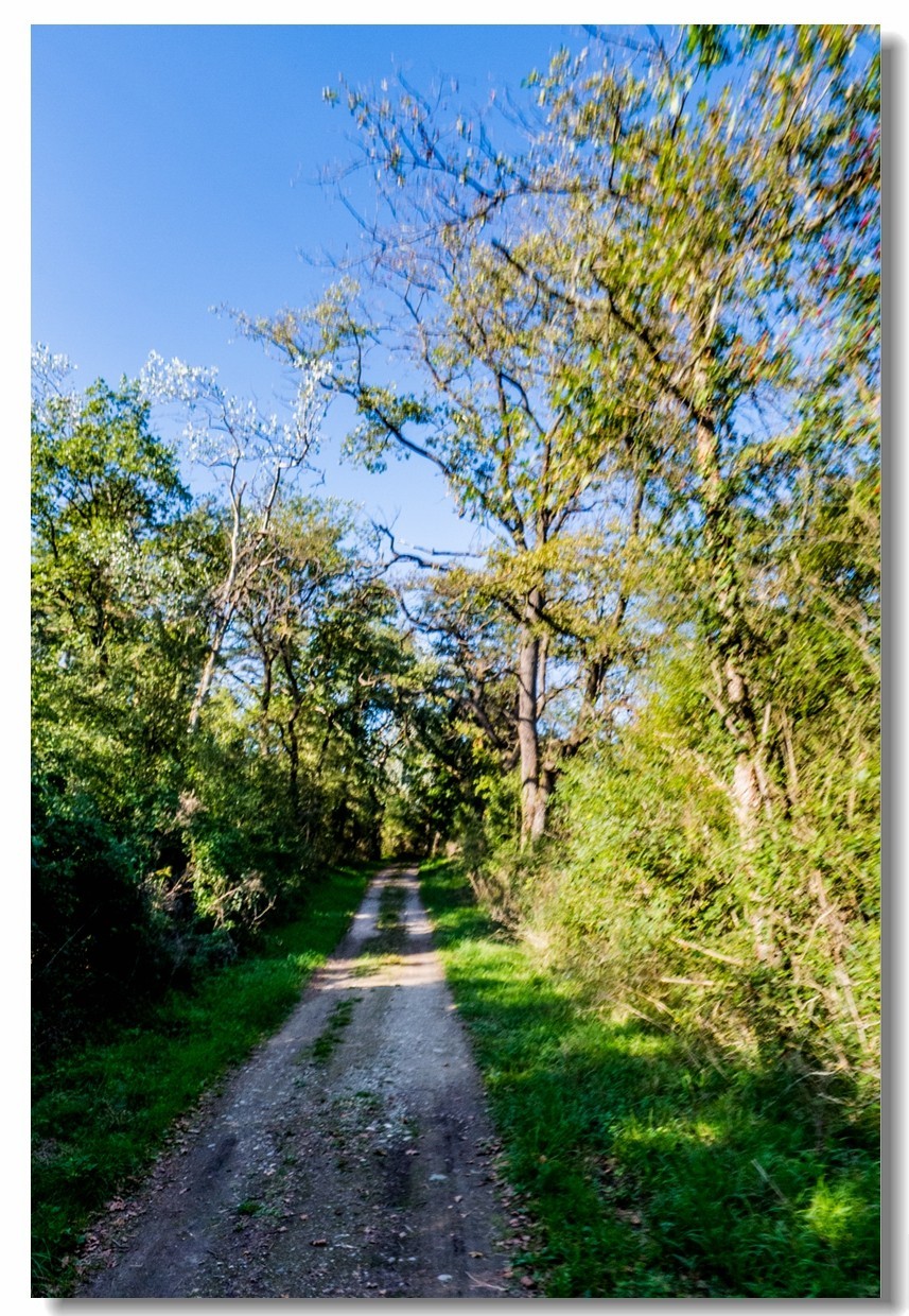 骑行间纪实（南德莱茵河岸画廊）
