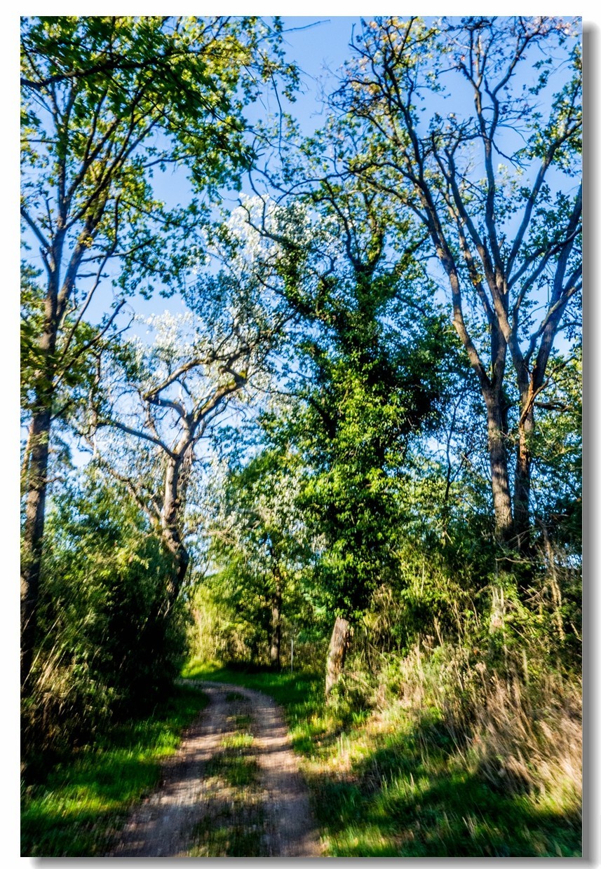 骑行间纪实（南德莱茵河岸画廊）