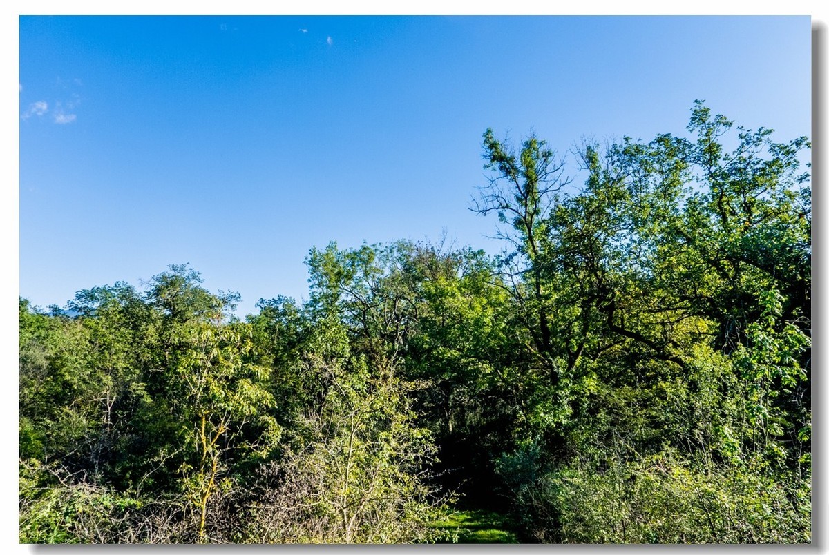 骑行间纪实（南德莱茵河岸画廊）
