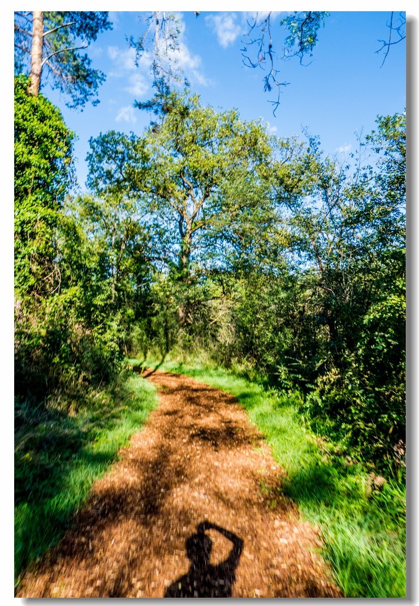 骑行间纪实（南德莱茵河岸画廊）