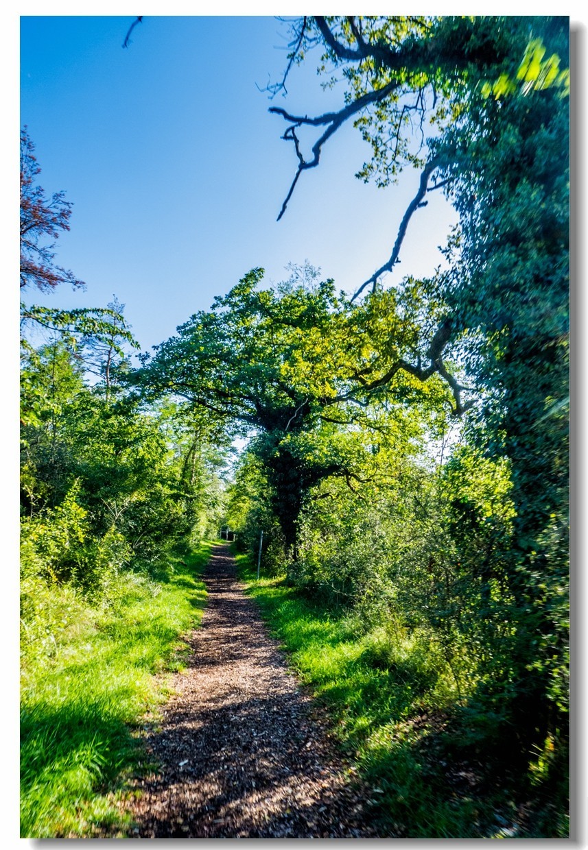 骑行间纪实（南德莱茵河岸画廊）