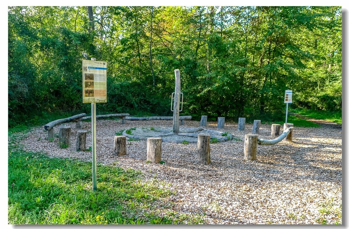 骑行间纪实（南德莱茵河岸画廊）