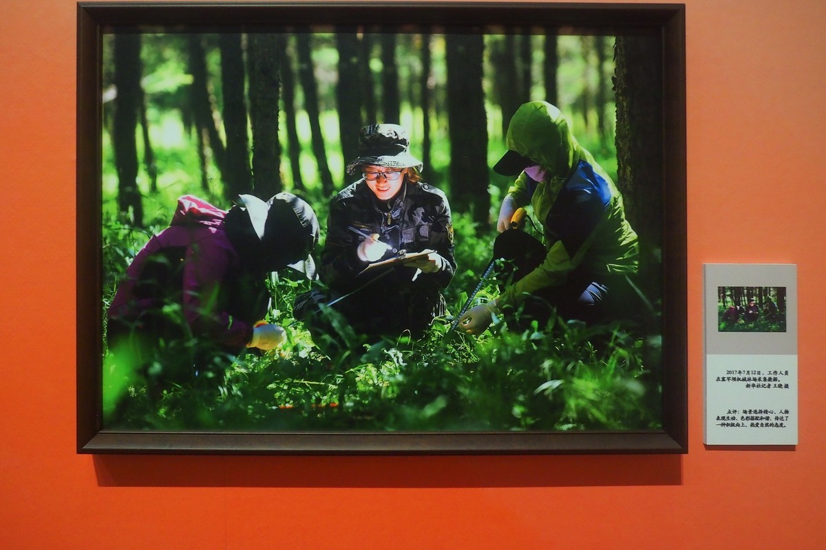 《“国社之镜·世纪光影”新华社新闻摄影展》下