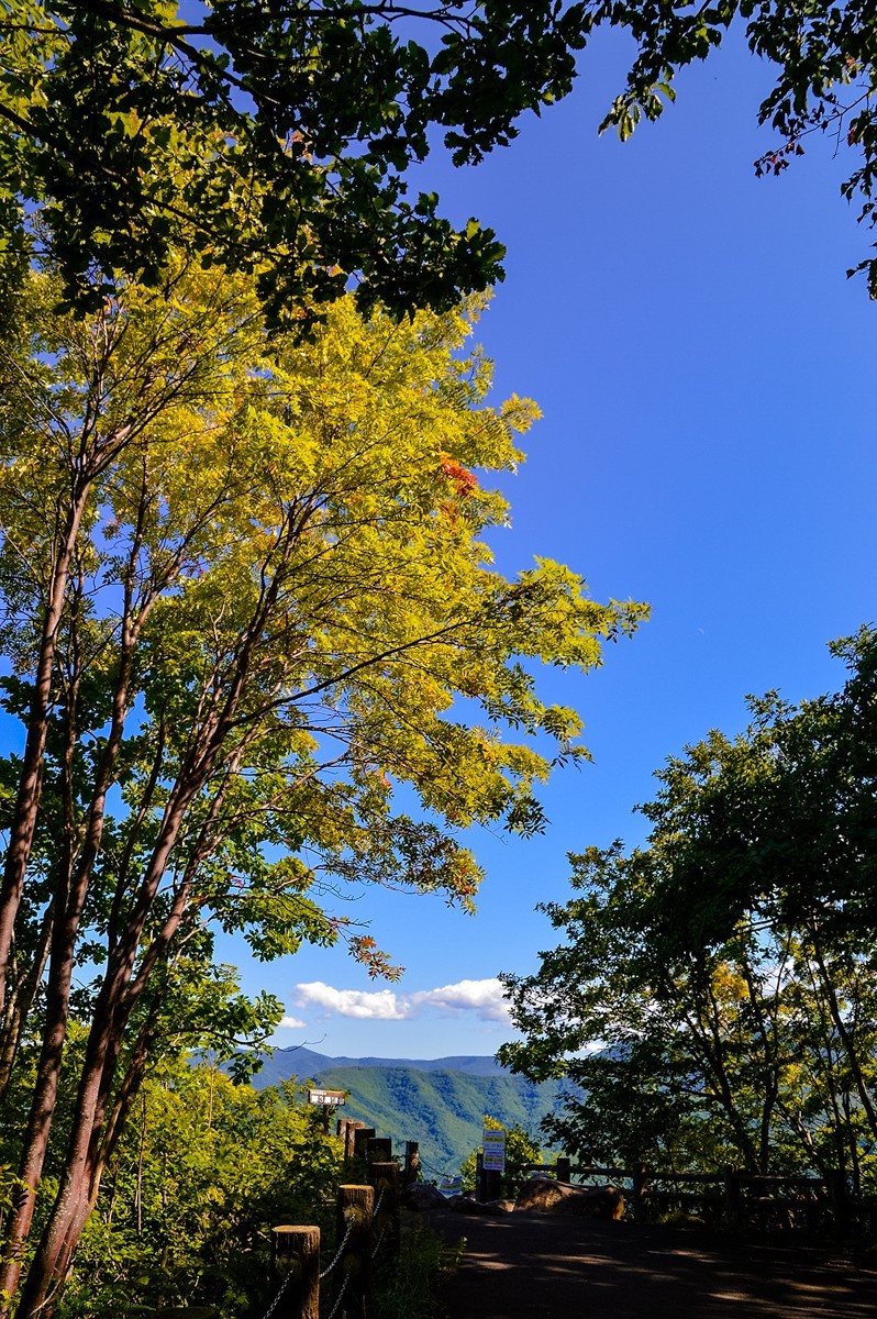 2019年Japan游拍-55