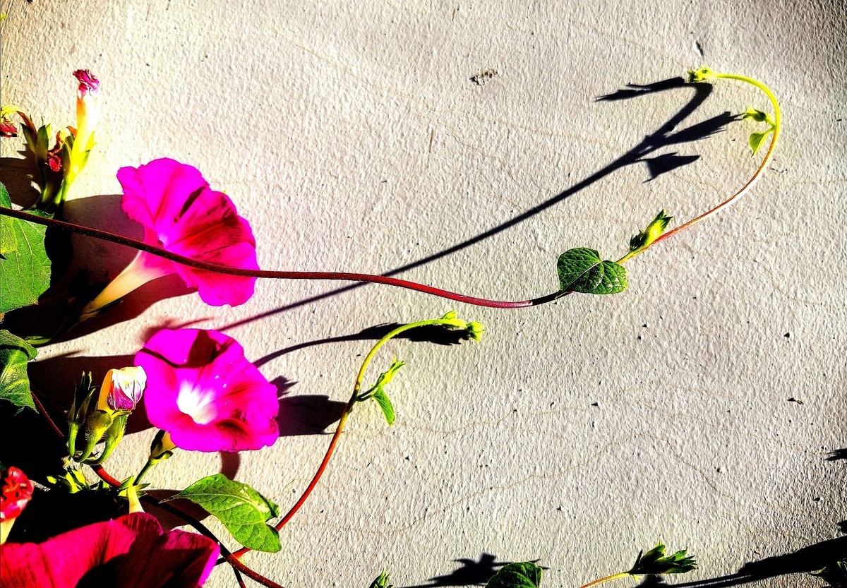 旅行光影随拍.......