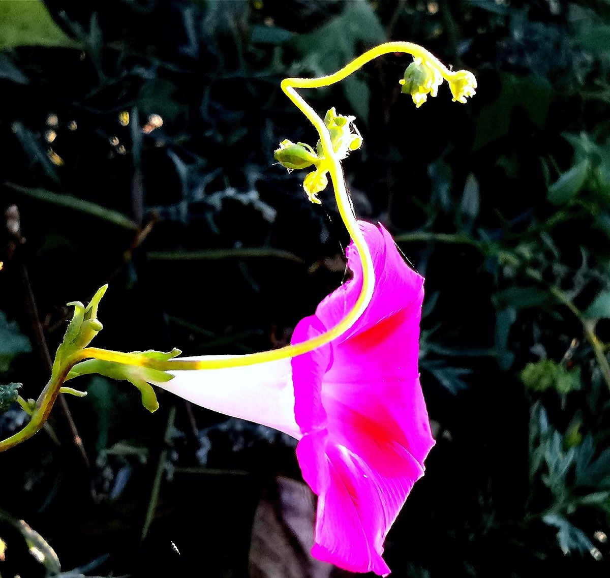 旅行光影随拍.......