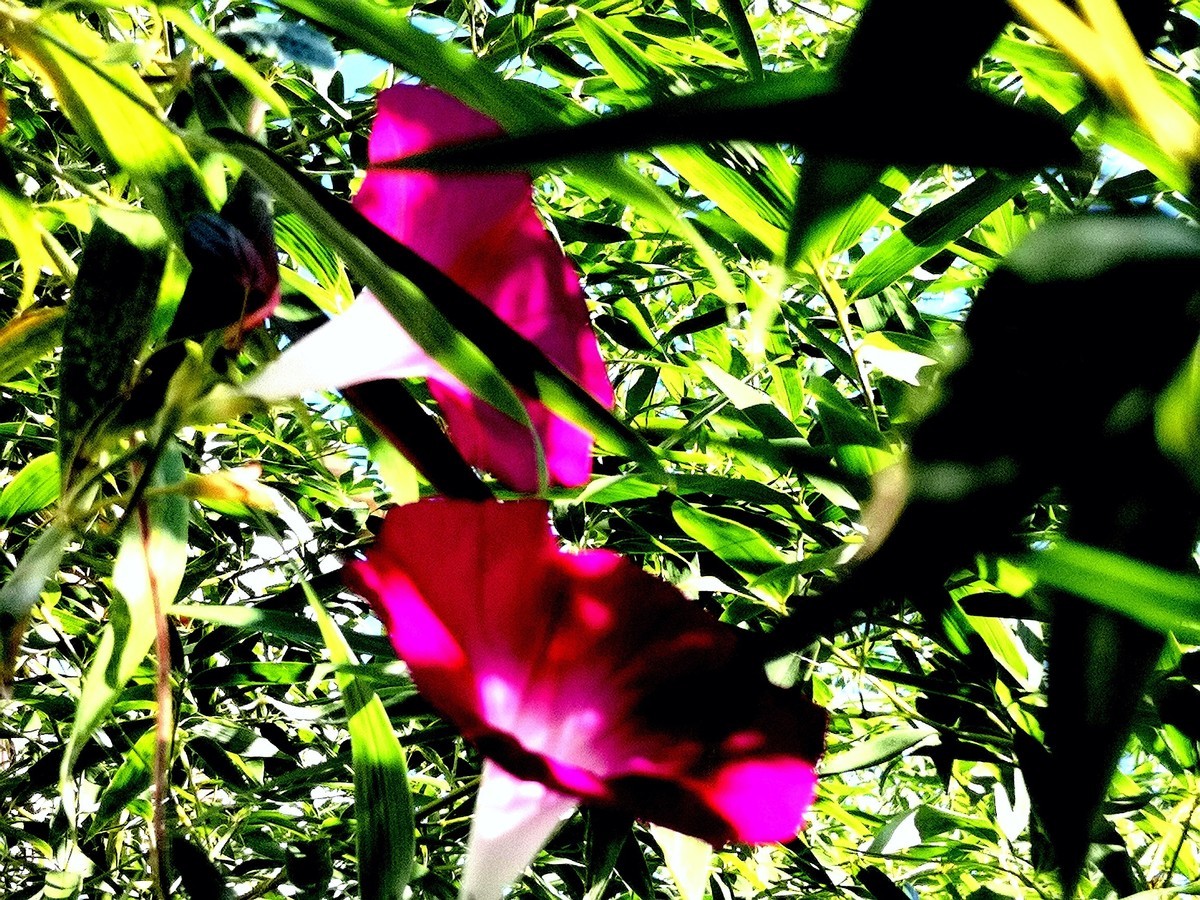 旅行光影随拍.......