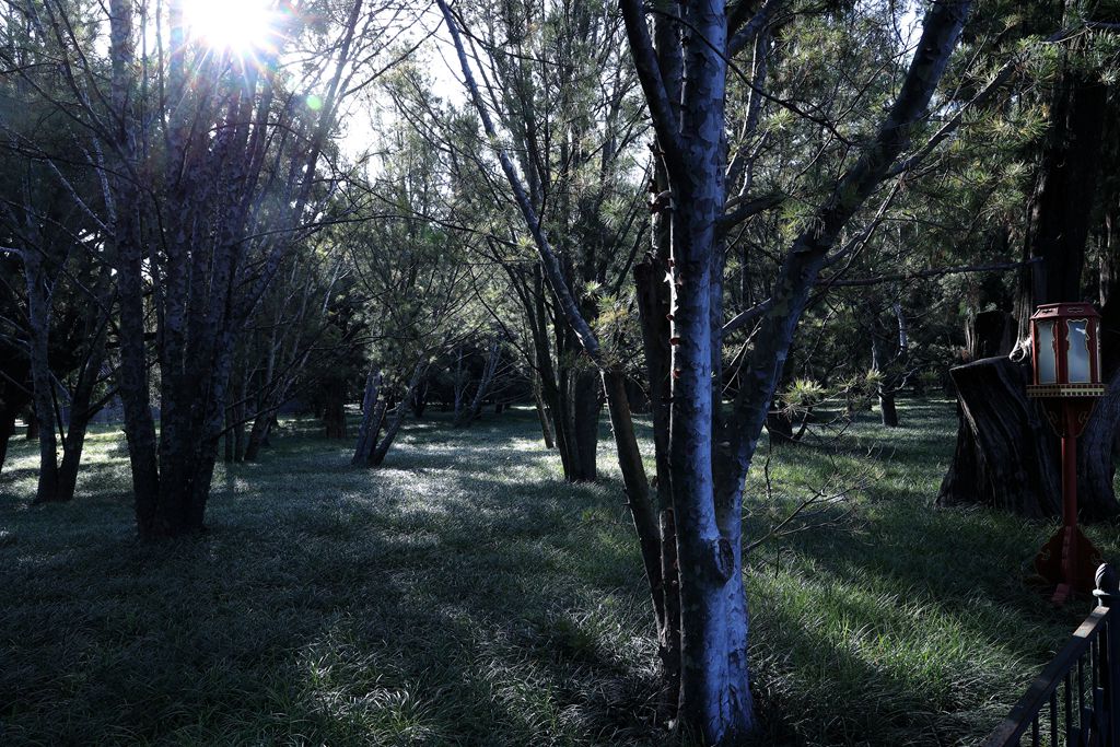 天高云淡逛天坛