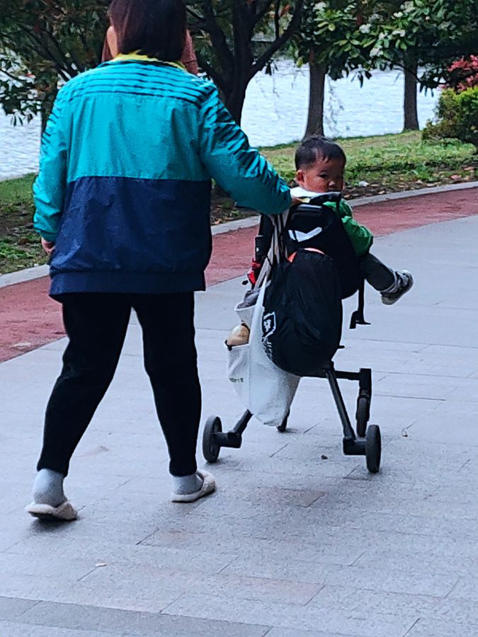 花卉系列【4119】