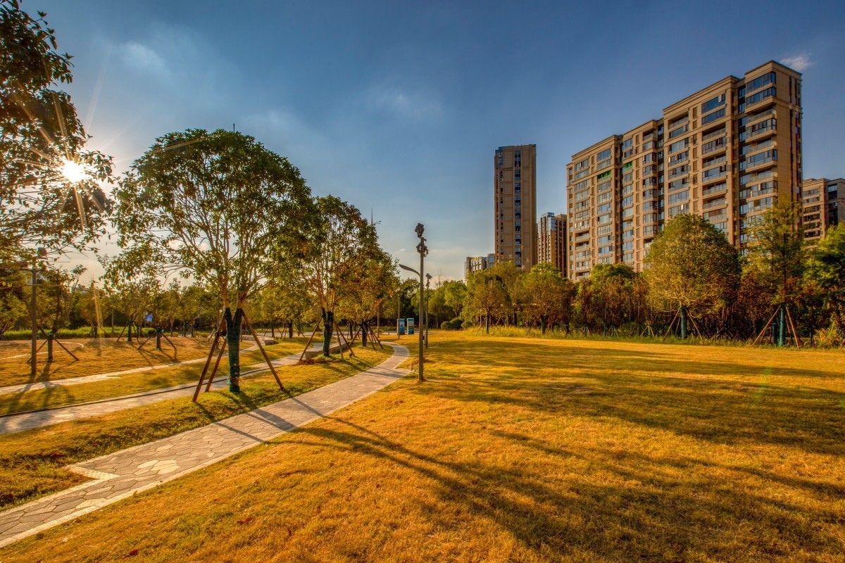 洋湖湿地公园 16