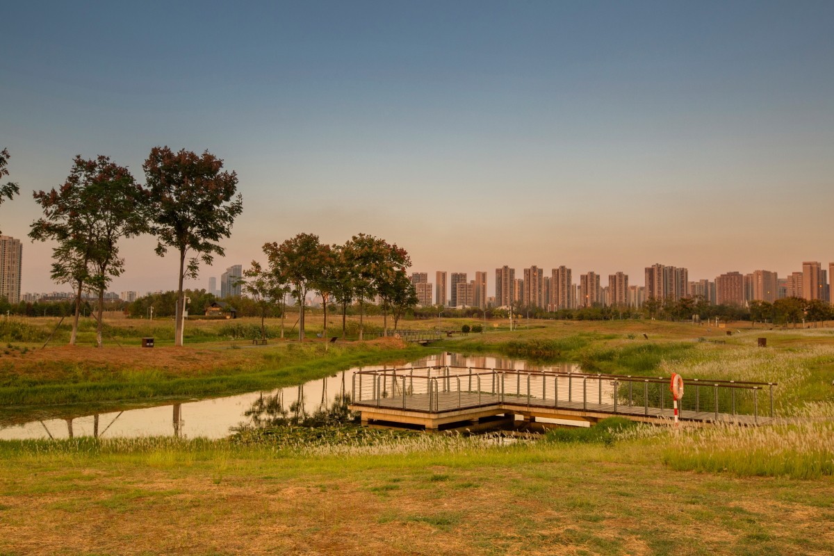 洋湖湿地公园 16