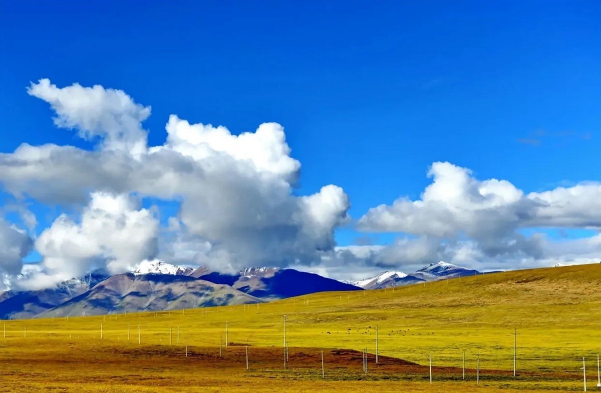 来了还想来的地方--川藏线纪实
