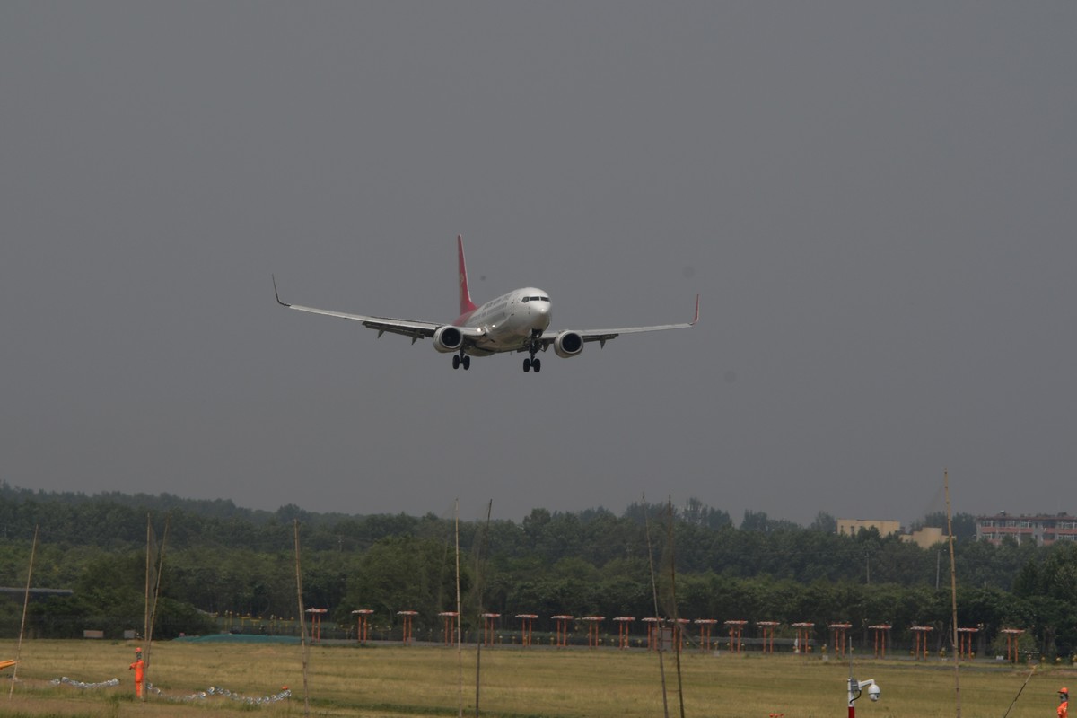 老片一组——打铁鸟