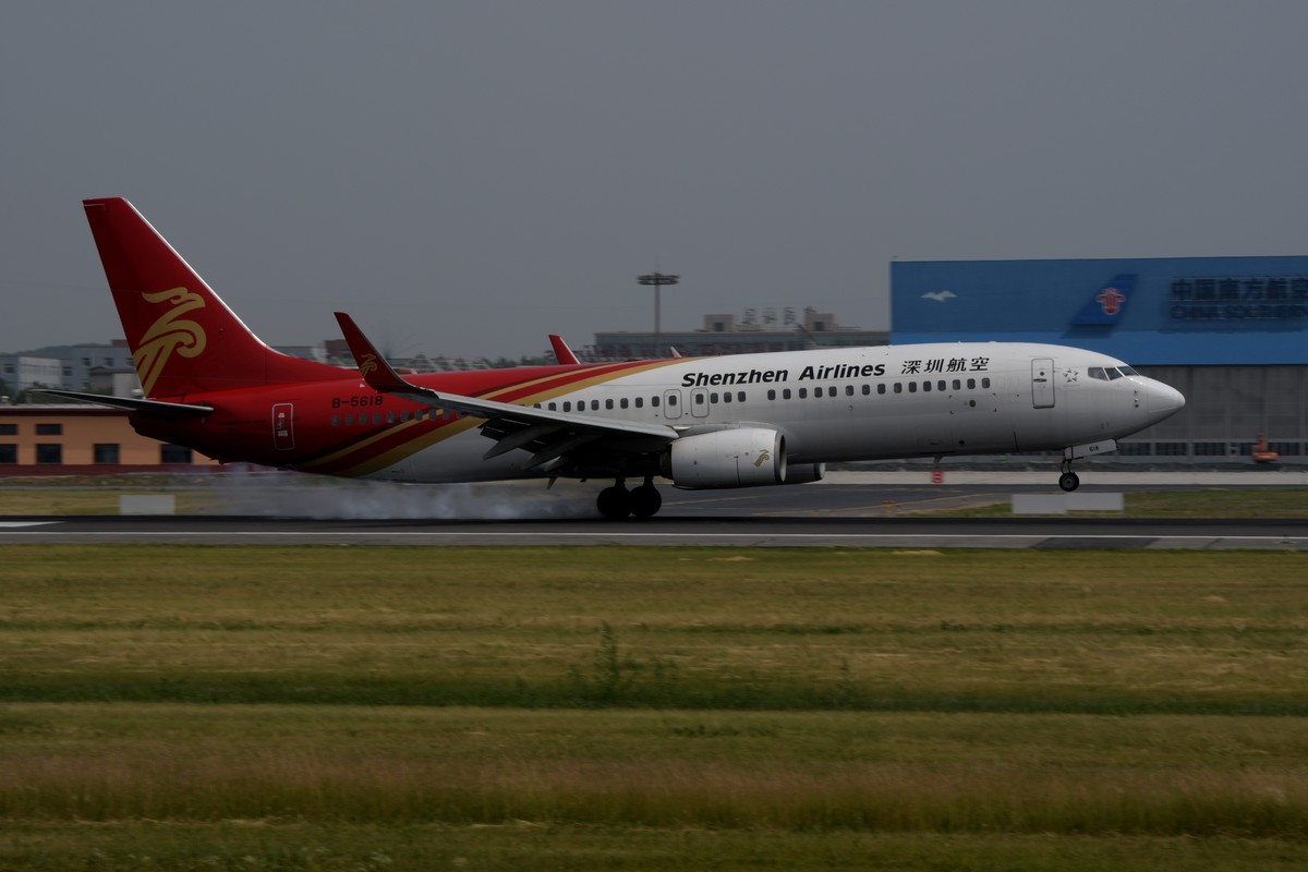 老片一组——打铁鸟