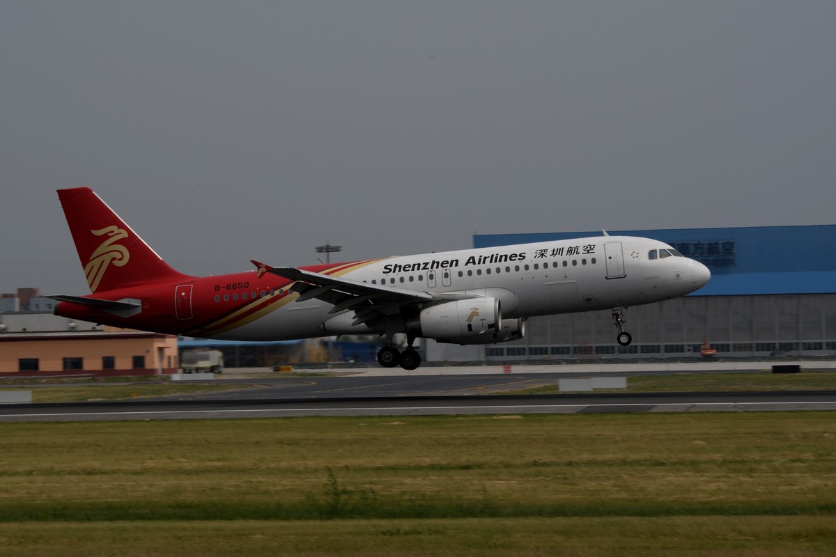 老片一组——打铁鸟