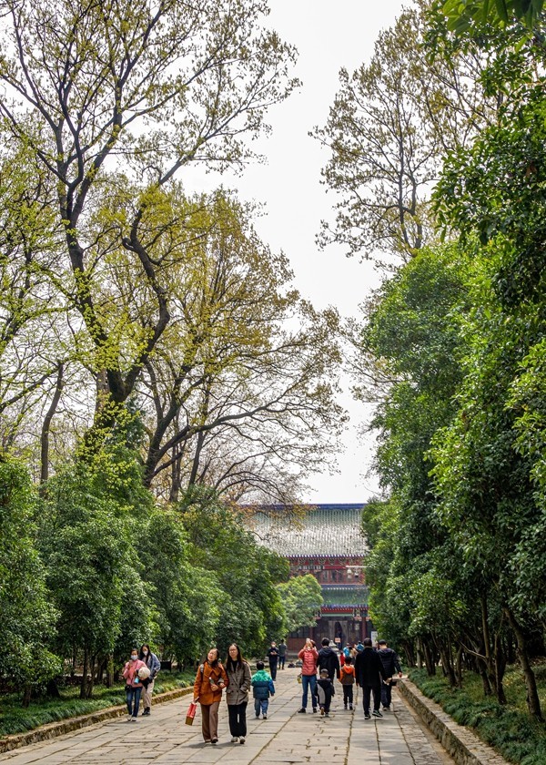 南京--探访灵谷寺【4】续完