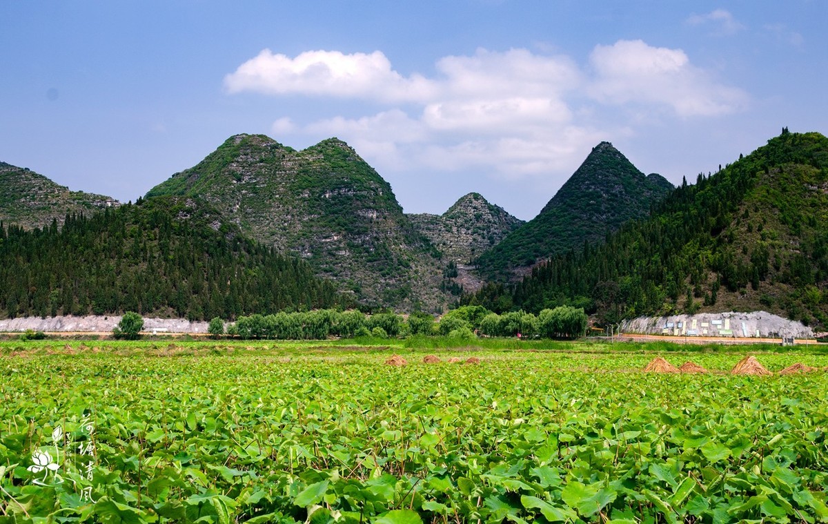 加油之城，美美安龙。今日立夏、荷花赛道上徒步随拍。