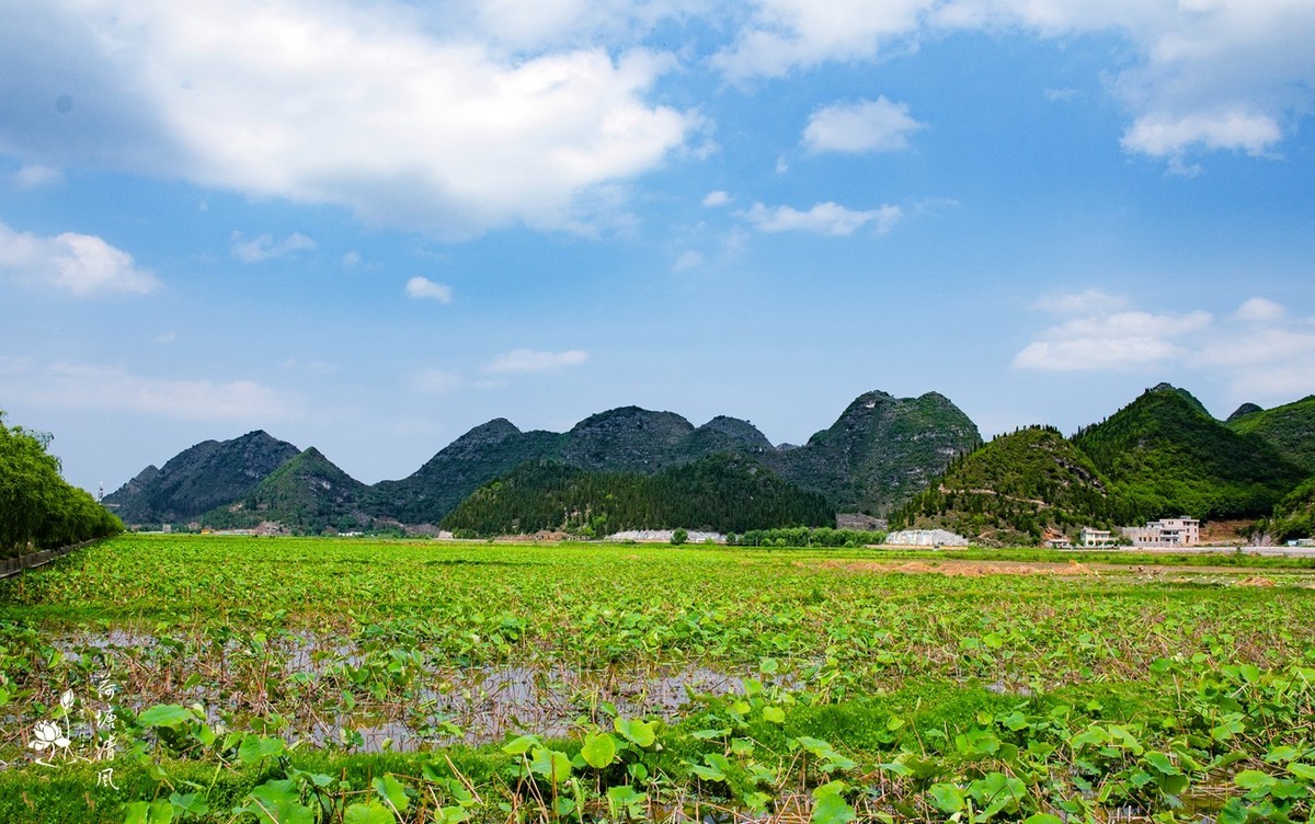 加油之城，美美安龙。今日立夏、荷花赛道上徒步随拍。