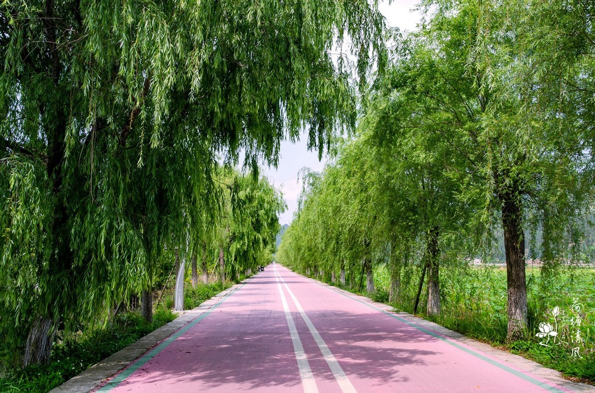 加油之城，美美安龙。今日立夏、荷花赛道上徒步随拍。