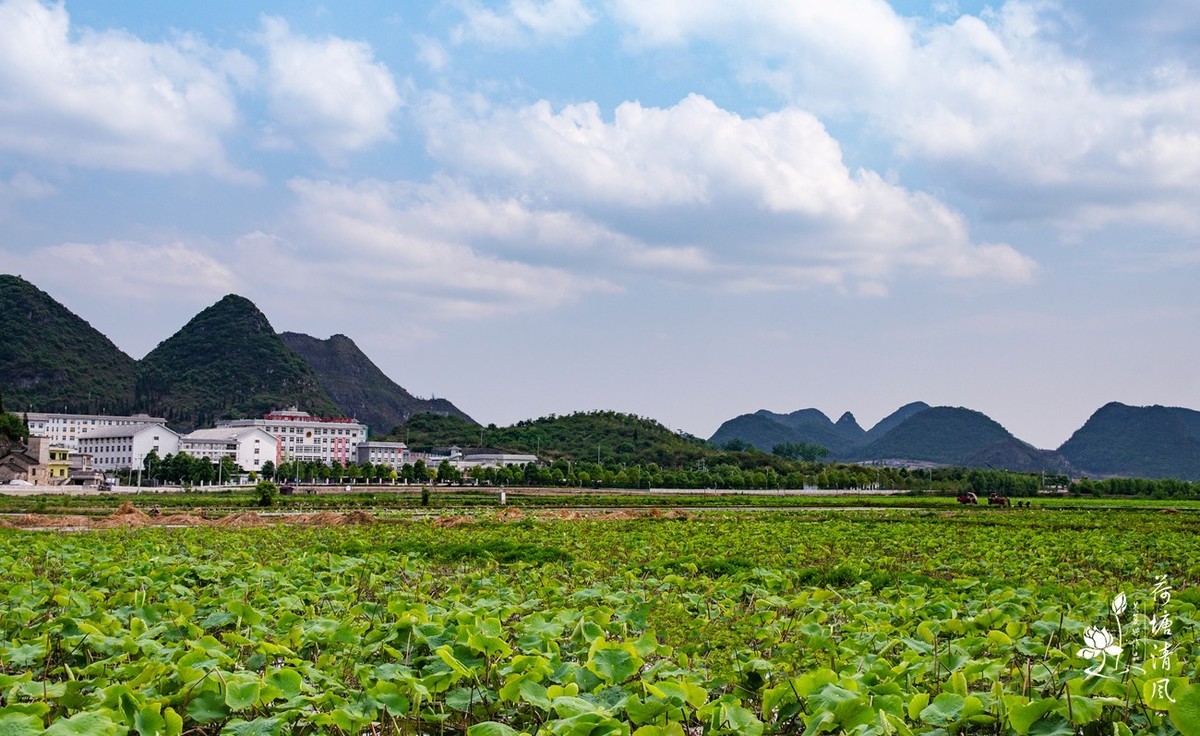 加油之城，美美安龙。今日立夏、荷花赛道上徒步随拍。