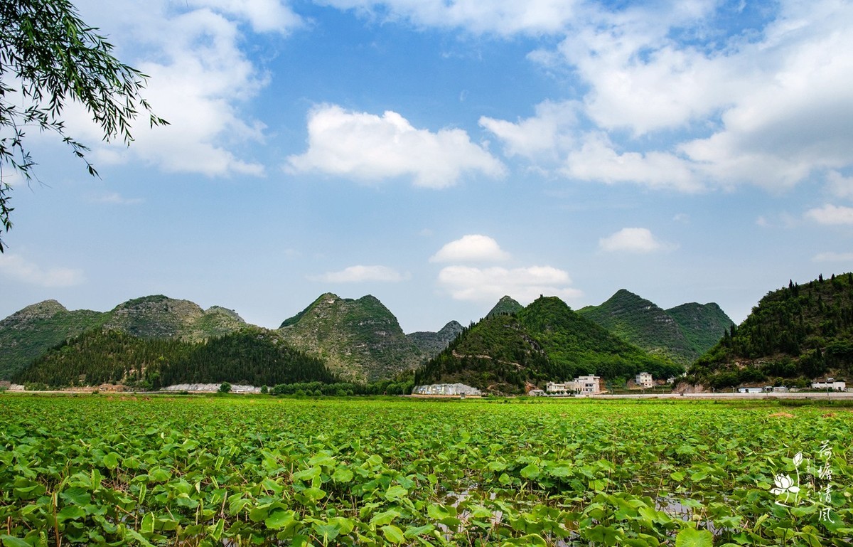 加油之城，美美安龙。今日立夏、荷花赛道上徒步随拍。