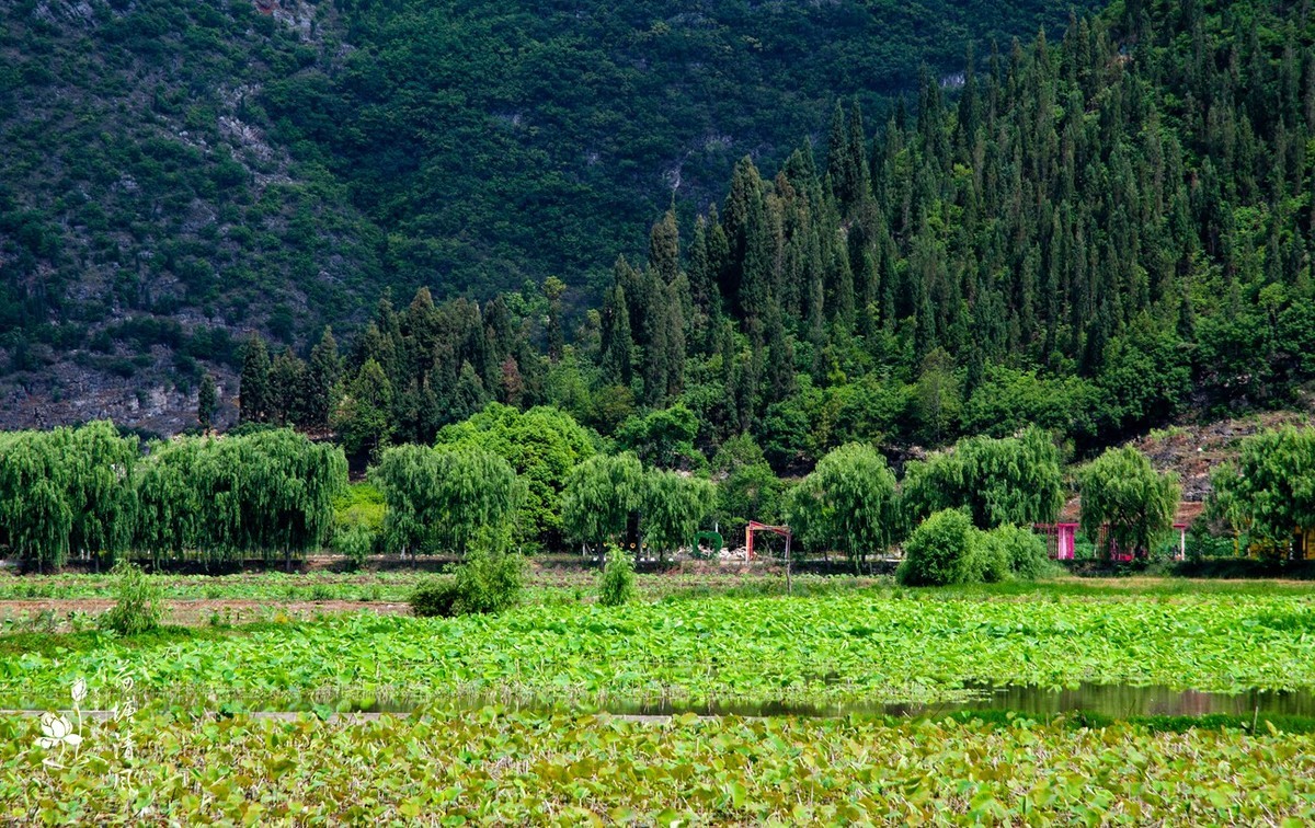 加油之城，美美安龙。今日立夏、荷花赛道上徒步随拍。