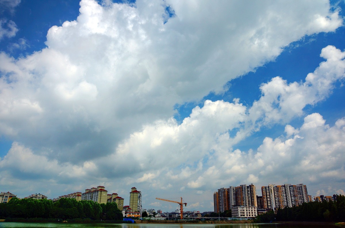 夏风阵阵云飘忽