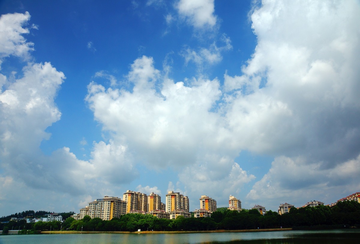 夏风阵阵云飘忽