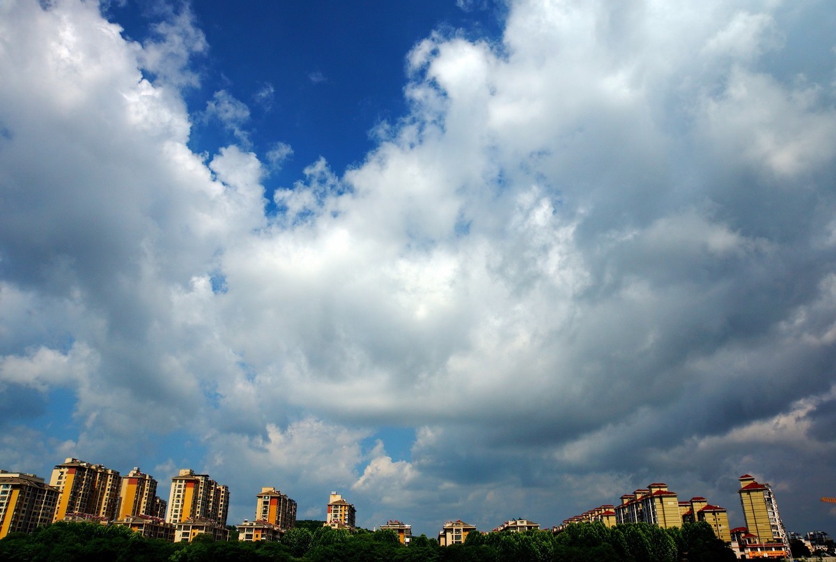 夏风阵阵云飘忽