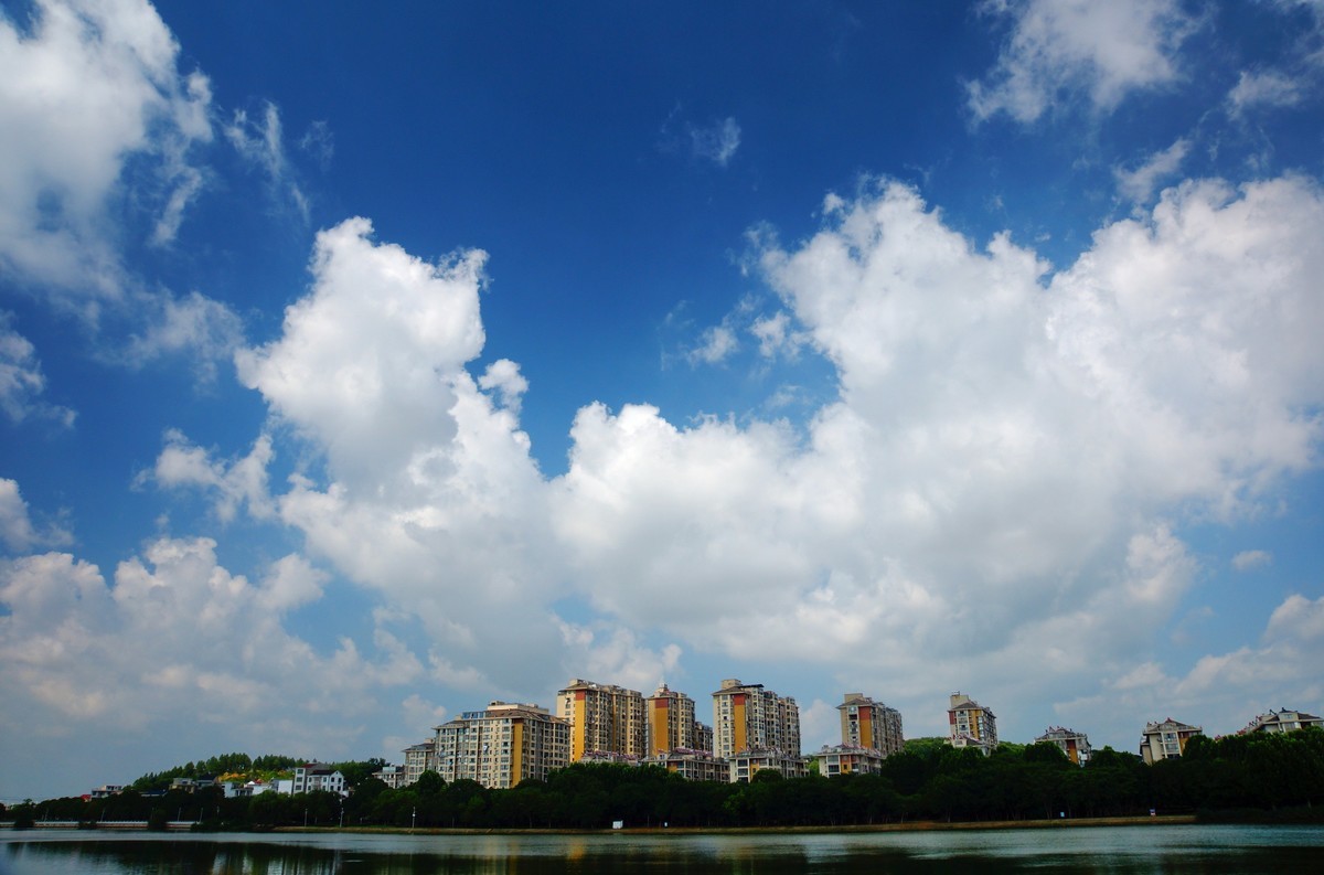 夏风阵阵云飘忽