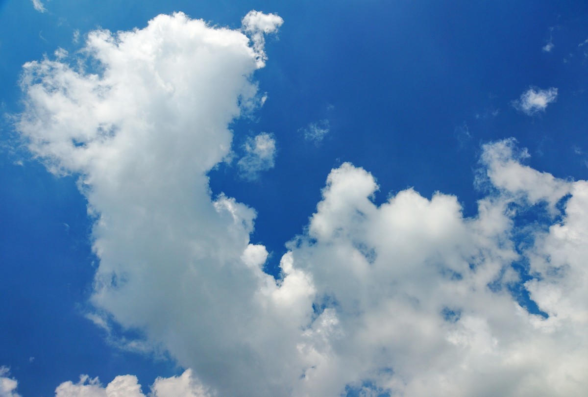 夏风阵阵云飘忽