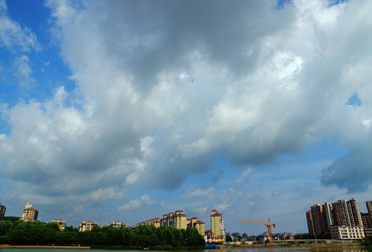 夏风阵阵云飘忽