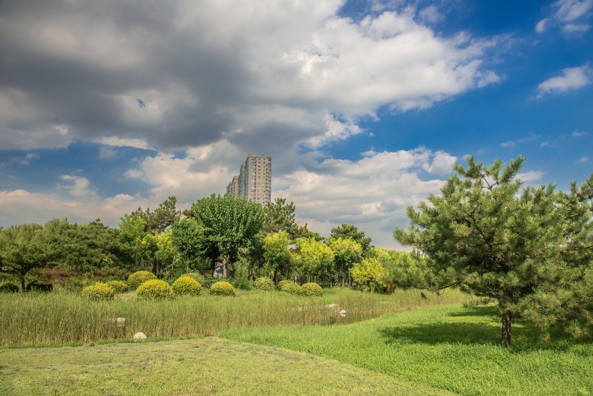 初秋的公园风光