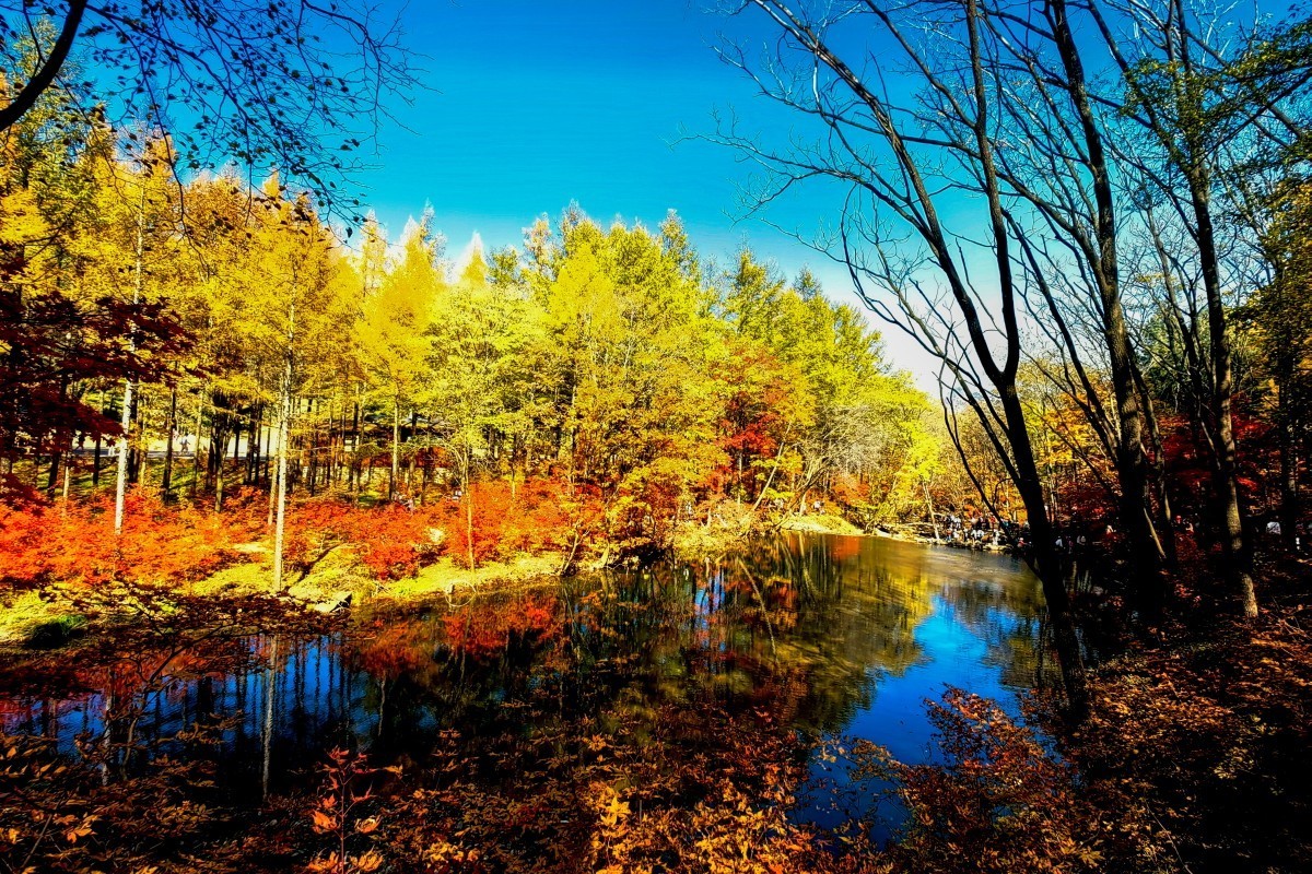 外出随拍（续191）.