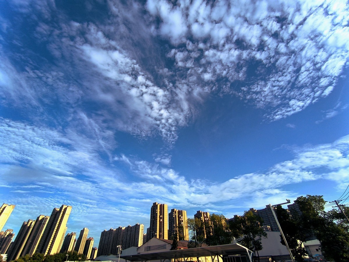 漫步星城 走街串巷（478）保持最佳状态