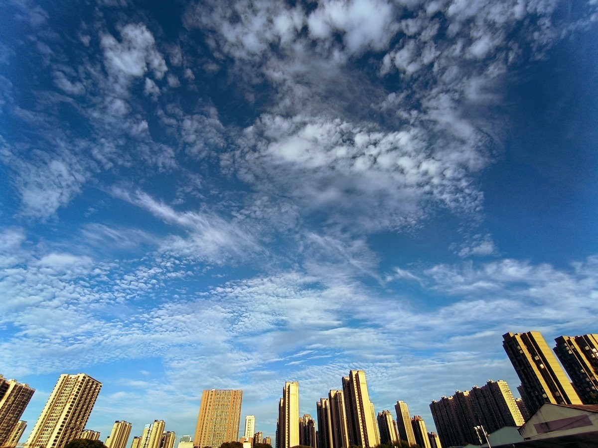 漫步星城 走街串巷（478）保持最佳状态