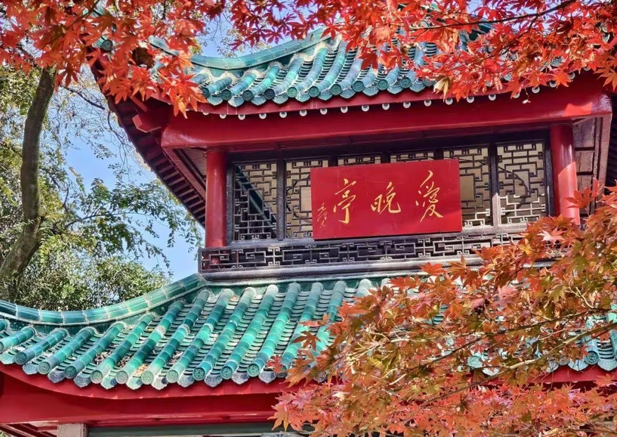 霜叶红于二月花--爱晓亭2