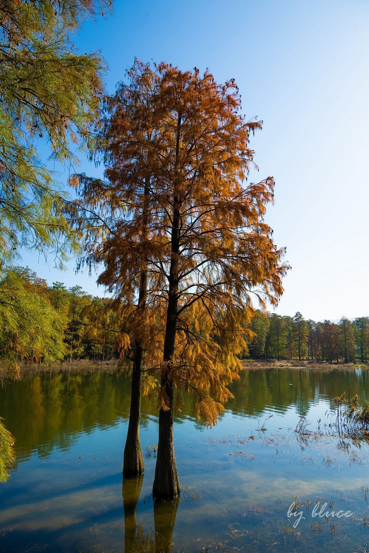 冬日四明湖【下】