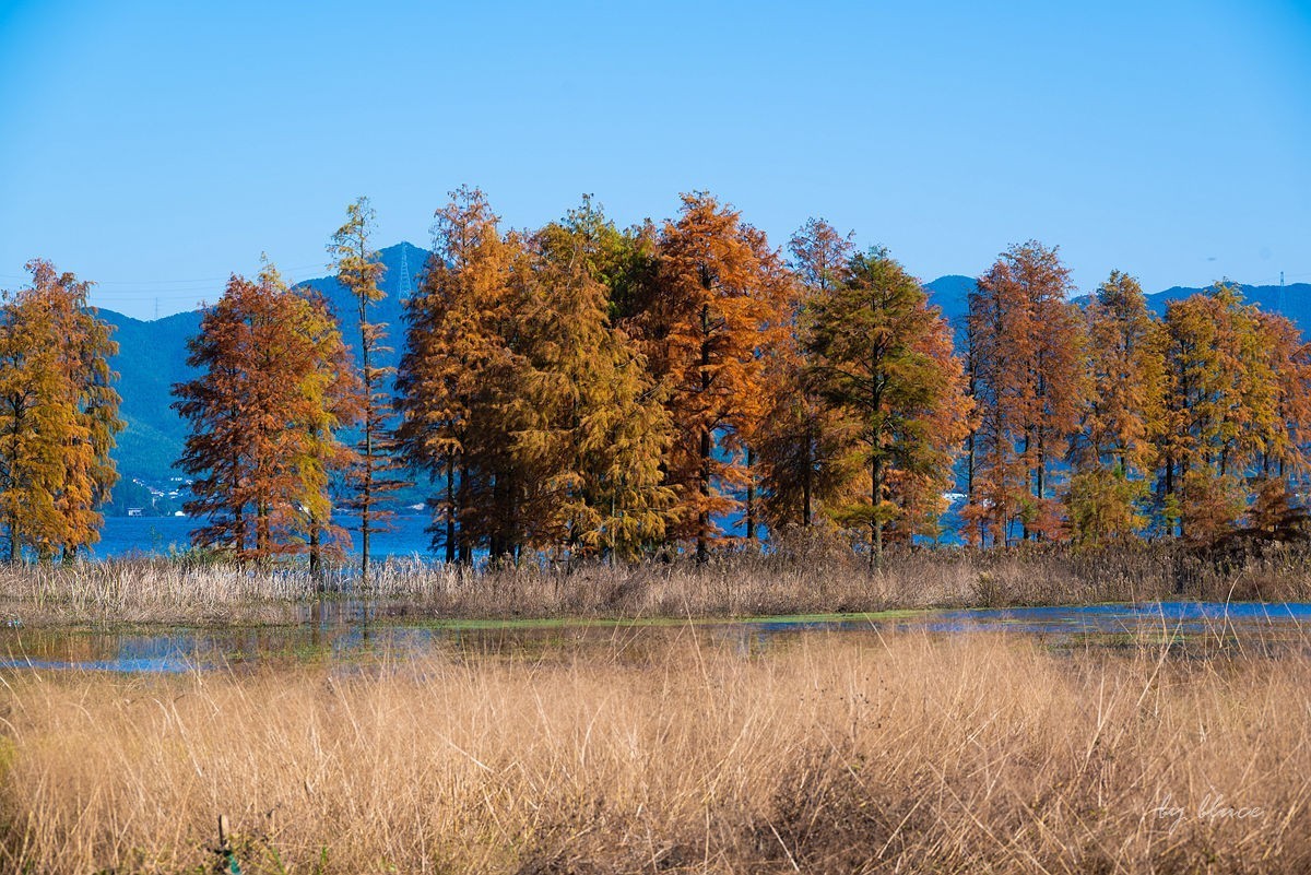 冬日四明湖【下】
