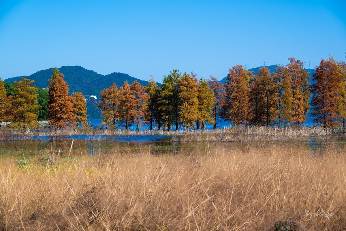 冬日四明湖【下】