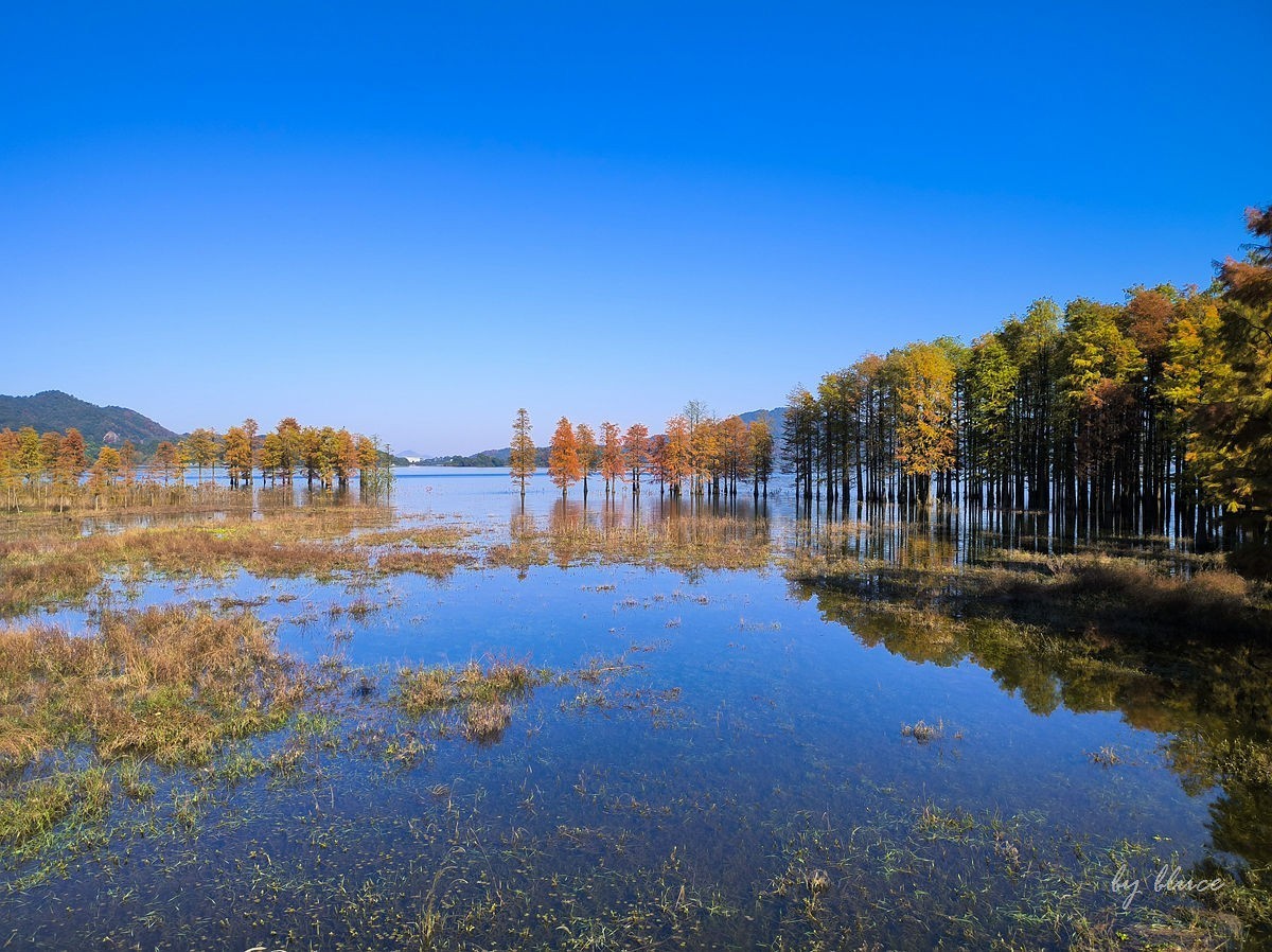 冬日四明湖【下】