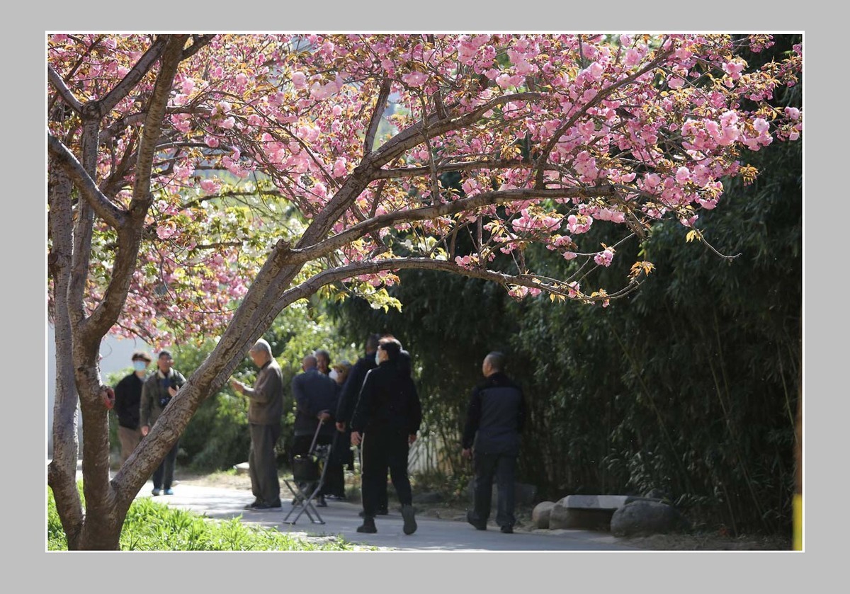 《每日欣赏》！！！