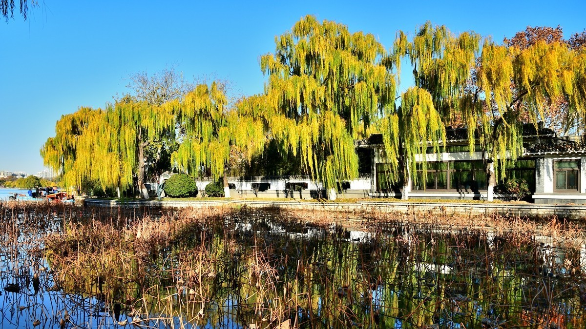 【视觉光影】明 湖 秋 色（5）