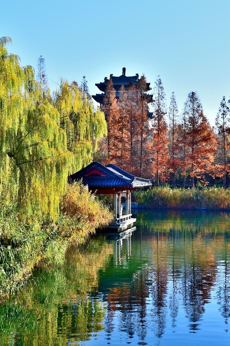 【视觉光影】明 湖 秋 色（5）