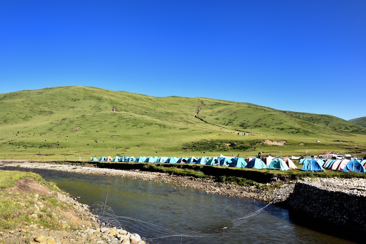 仲夏川北行——俄么塘花海景区【3】