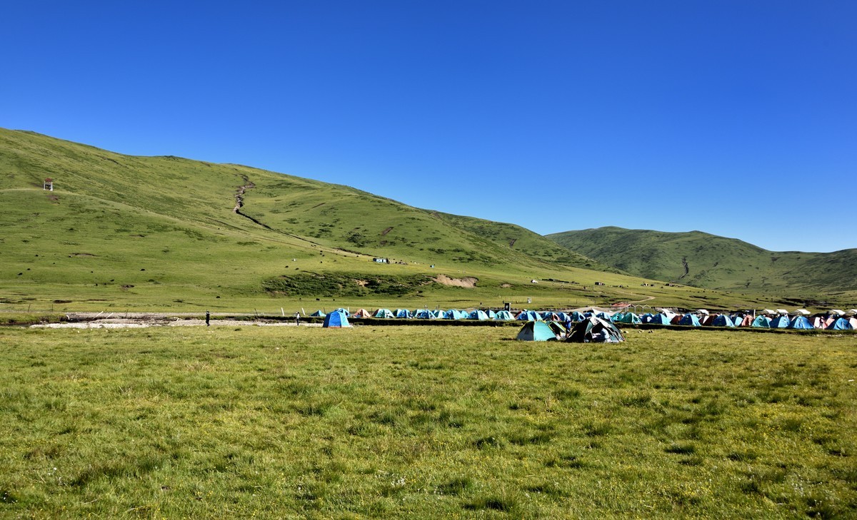 仲夏川北行——俄么塘花海景区【3】